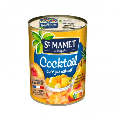 SAINT MAMET Cocktail de fruits 250g